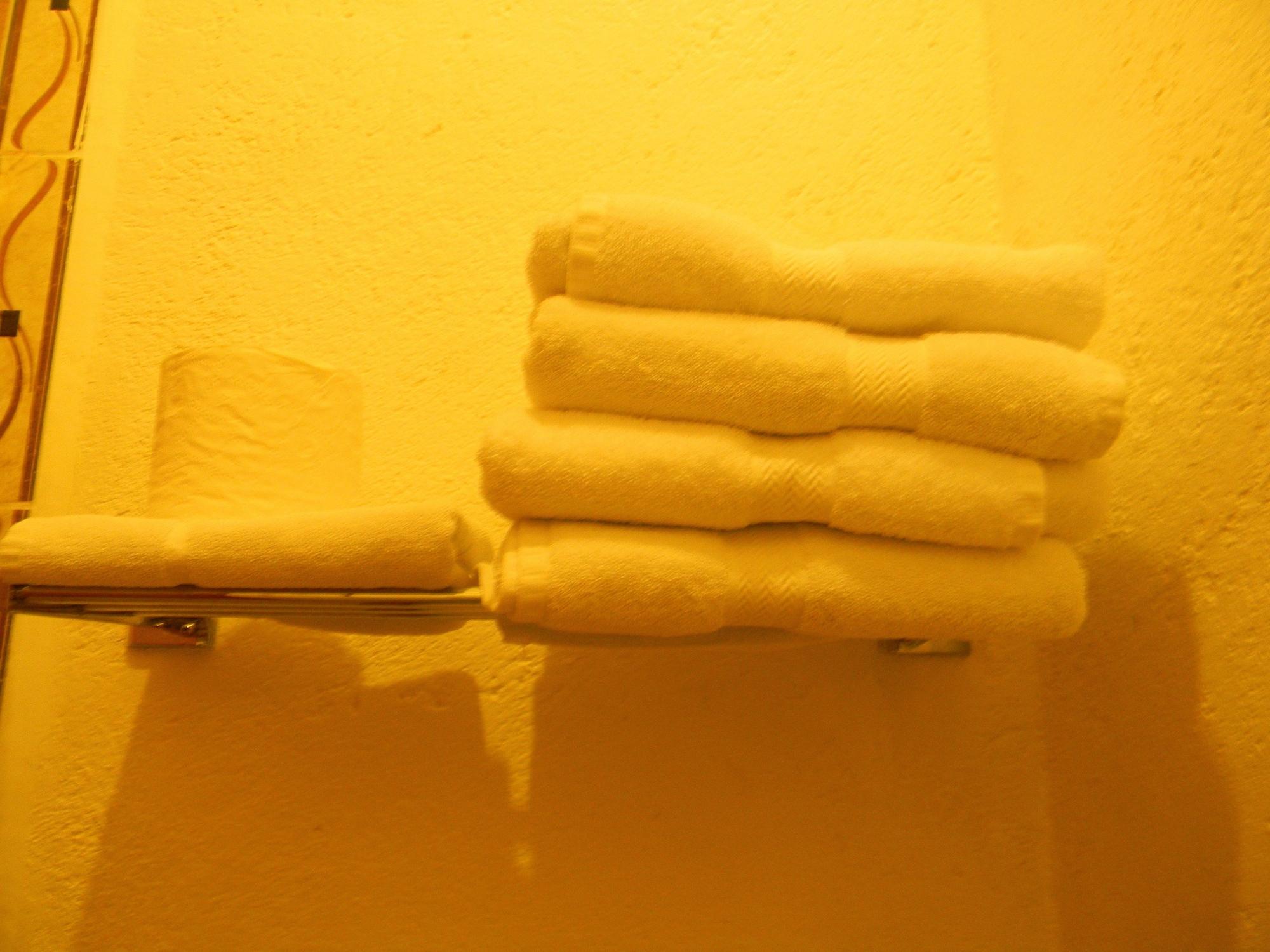 Hotel Quinta Lucca Querétaro Extérieur photo